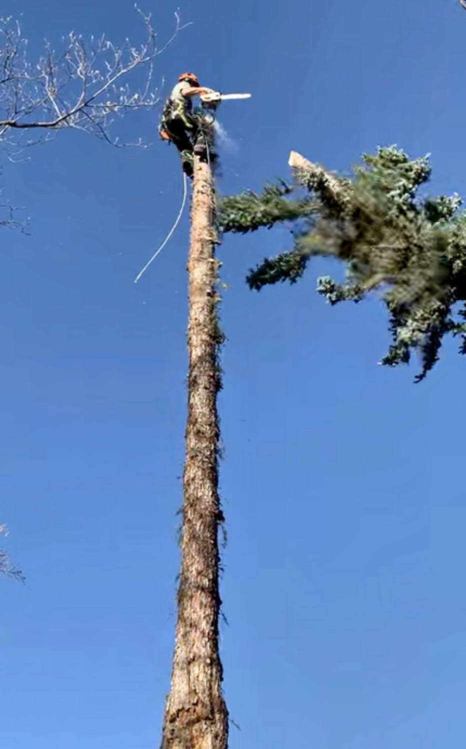 Arborist Medical Response